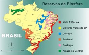 Reserva da biosfera