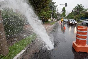 Desperdício, de quem é a culpa?