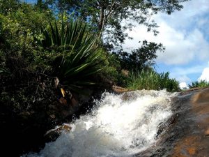 A Evapotranspiração e o equilíbrio climático