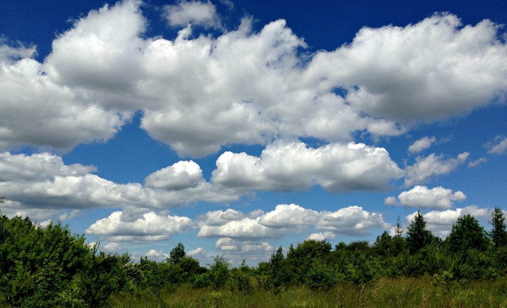 cumulus