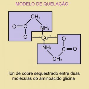 O que é quelação