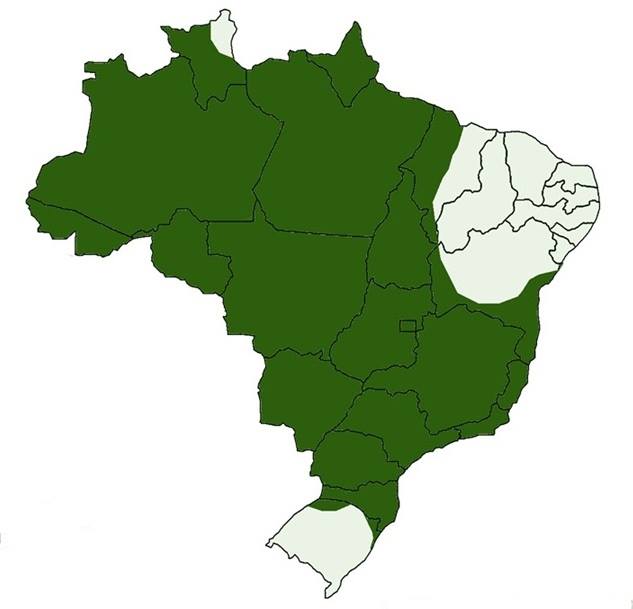 Brasil - Área de ocorrência do Gavião Real - Harpia harpyja - Hachurado verde. 