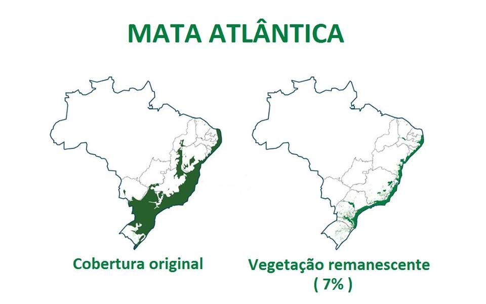 Devastação da Mata Atlântica - Mapa ilustrativo - Adaptação Biota do Futuro