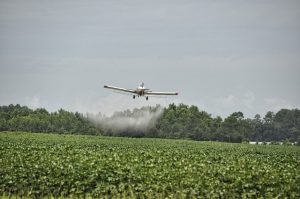 Uso de agrotóxicos no Brasil, pesquisadora da USP revela dados alarmantes