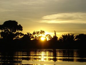 Amazônia climática, a floresta de hoje e do amanhã