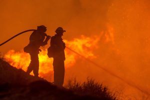 O fogo como fator ecológico