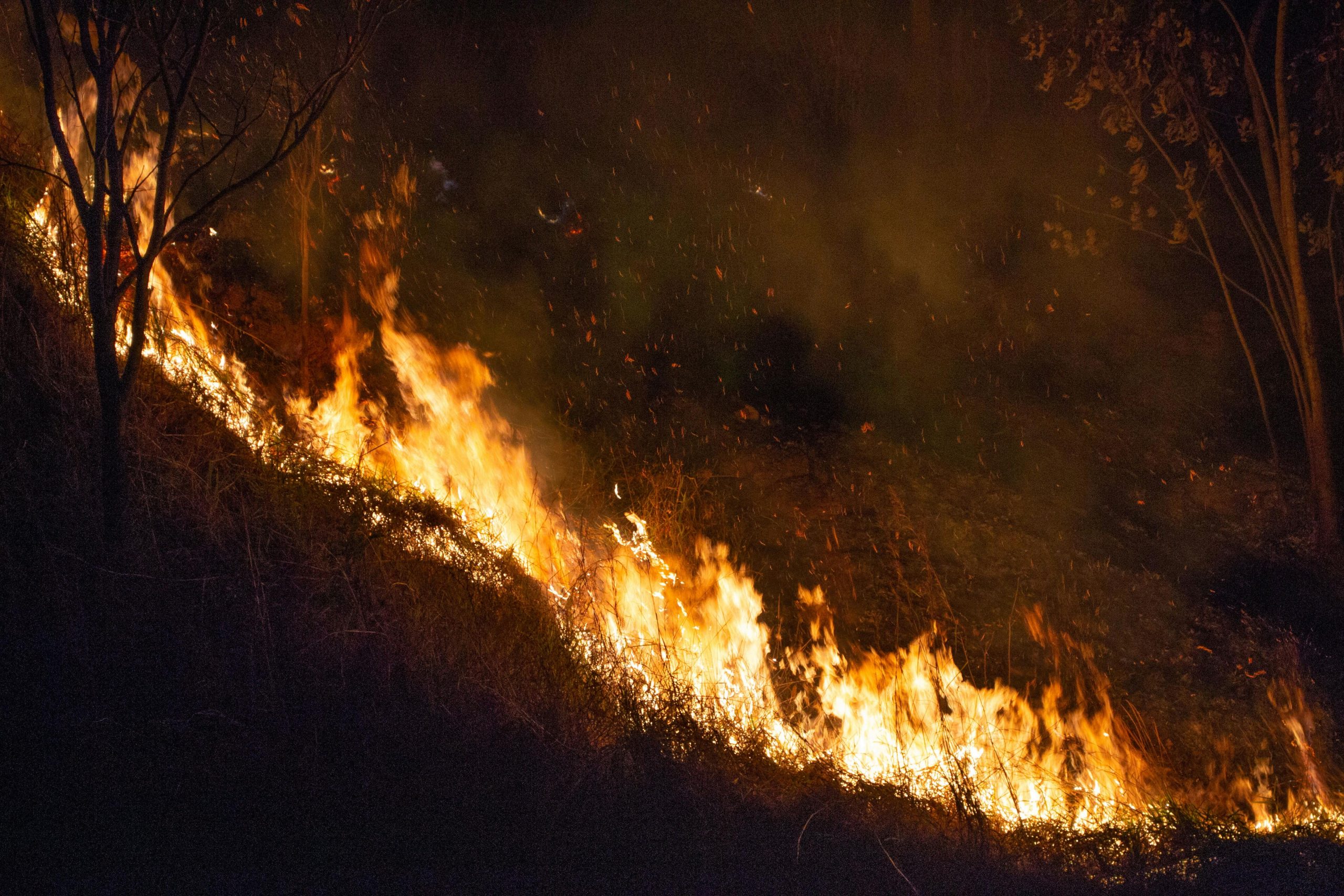 Incêndios recordes na amazônia: fumaça tóxica chega ao sul do Brasil