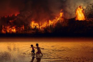 Catástrofe: amazônia queimando, maior índice de incêndios em 17 anos