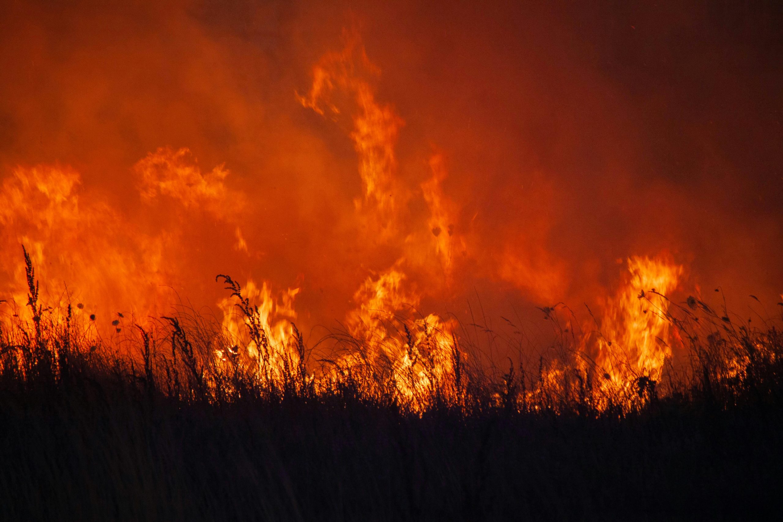 Amazônia se tornou a maior emissora de gases de efeito estufa do mundo em 2024